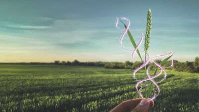 Inatreq_Header_Mobil