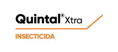 Quintal Xtra logo