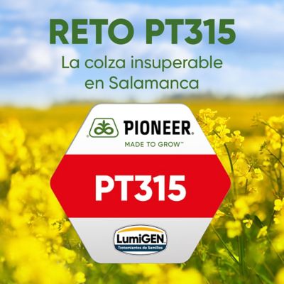 Reto PT315
