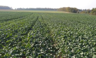 Related_Content_Card_desktop_328x200_Belkar