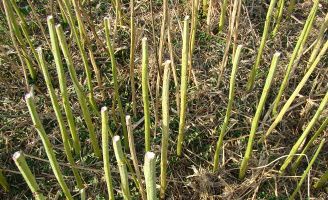 Related_Content_Card_desktop_328x200_Runway