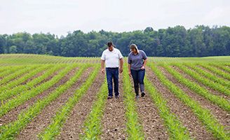 Representante de ventas