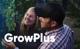 GrowPlus Promotion