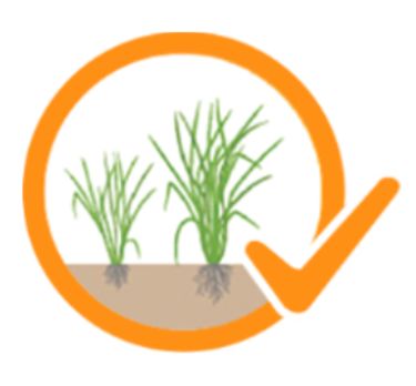 ริดอิด 4