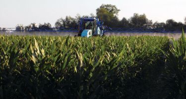 Runner Hero Image Mobile