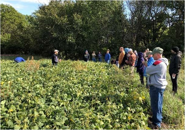 S.A.V.E. participants gathering with the Pioneer team in October 2018 to evaluate their soybean crop and work on 2019 crop management plans.