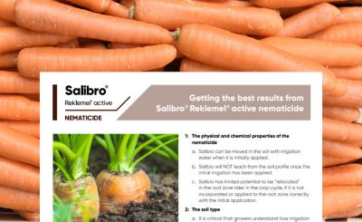 Getting the best results from Salibro Reklemel active