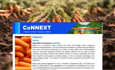 Salibro Reklemel Trade Information - Carrots