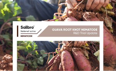 Salibro GUAVA ROOT KNOT NEMATODE Technote