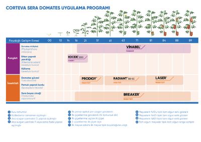 sera-domates-ilaclama-programi