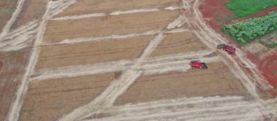 Rotação ou sucessão de culturas: qual sistema traz mais produtividade de soja?