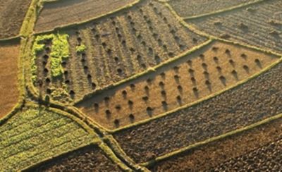 farm fields aerial view