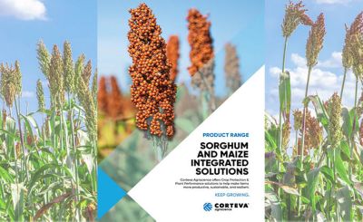 Sorghum & Maize Integrated Solutions