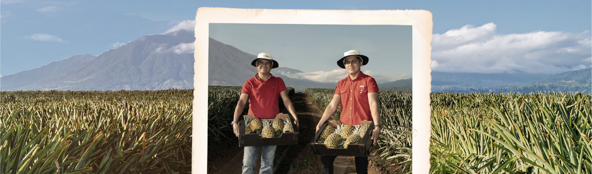 Cultivando Progreso