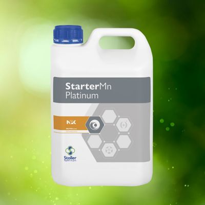 Starter Mn Platinum Packshot