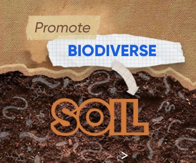 Promote Biodiverse Soil