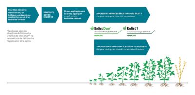 Enlist E3 Wide Application Window Infographic