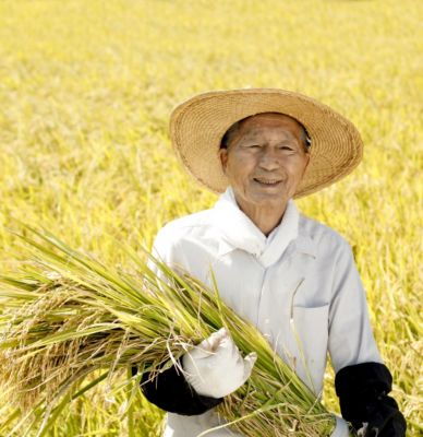 Str06 Impact Desktop