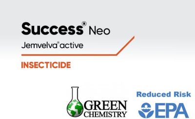 Success Neo Jemvelva active Insecticide