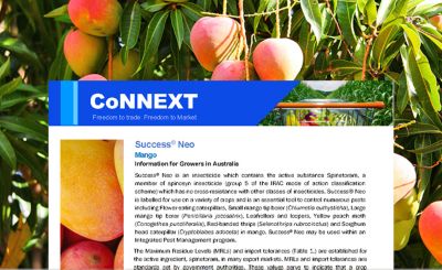 Success Neo Export MRL Technote - Mango