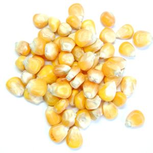 T2_Landing_Nitrogen_management_01_300x300