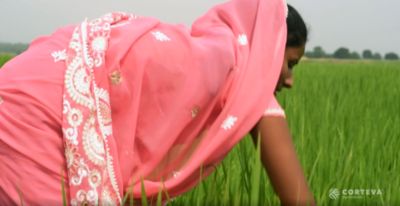 Women in Agriculture say Barriers to Equality Persist