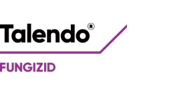 Talendo