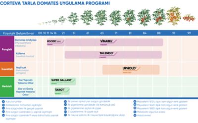 tarla-domates-ilaclama-programi
