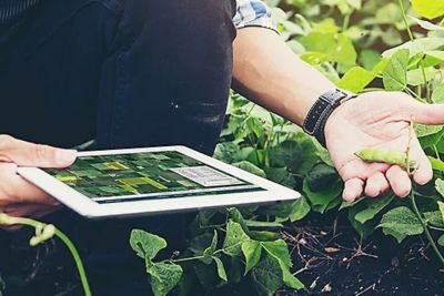 Double Cropping Ensures Higher Yields and Output