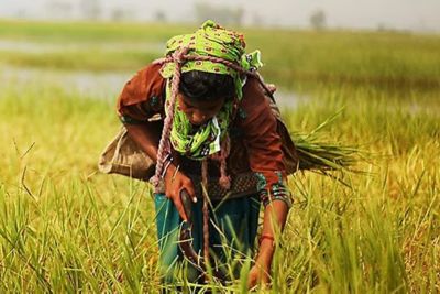 Trends in Agriculture