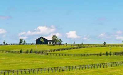 farm landscape with blue sky