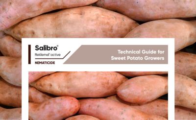 Salibro Reklemel Technical Guide for Sweet Potato Growers 