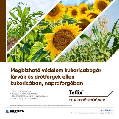 Teflixcoverdocucover