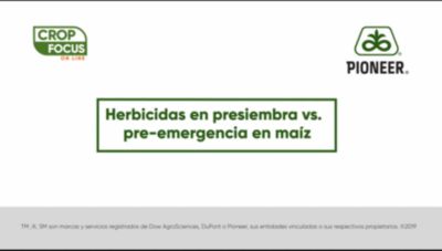 Herbicidas Maíz Pre-emergentes Siembra