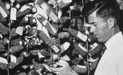 The start of Hi-Bred Corn Company