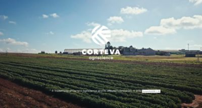 VID-Together_We_Grow-EN-EN-V1.mp4