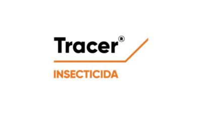 Tracer logo