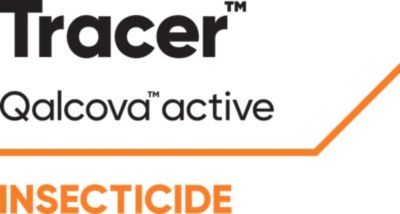 Tracer logo