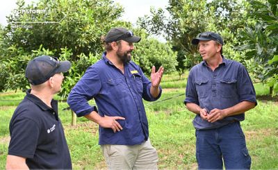 Softer product approach pays dividends for Macadamia grower