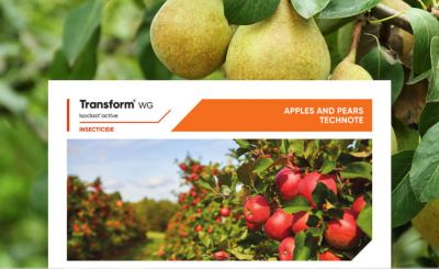 Transform WG Pome Fruit Technote