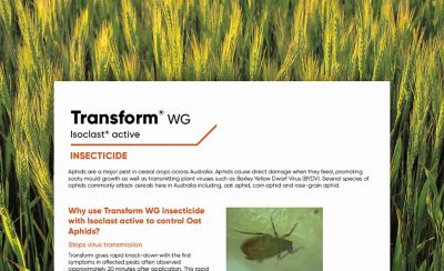 Transform WG Winter cereals