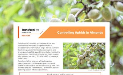 Transform WG - Controlling Aphids in Almonds