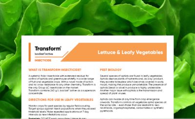 Transform - Lettuce & Leafy Veg