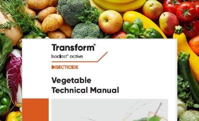 Transform Vegetable Technical Manual