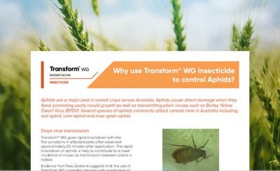 Transform WG Controlling Aphids in Winter Cereals