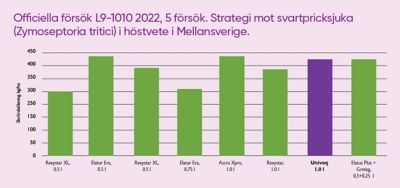 UNIVOQ web graph SE.png