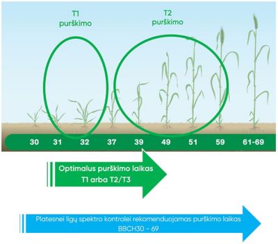 Univoq_application_recommendation_LT