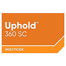 Uphold 360 SC_Logo