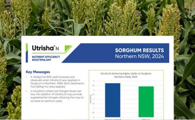 Utrisha N Sorghum Results