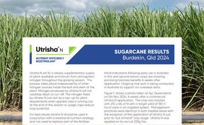 Utrisha N Sugarcane Results